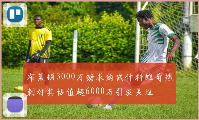布莱顿3000万镑求购武什科维奇热刺对其估值超6000万引发关注